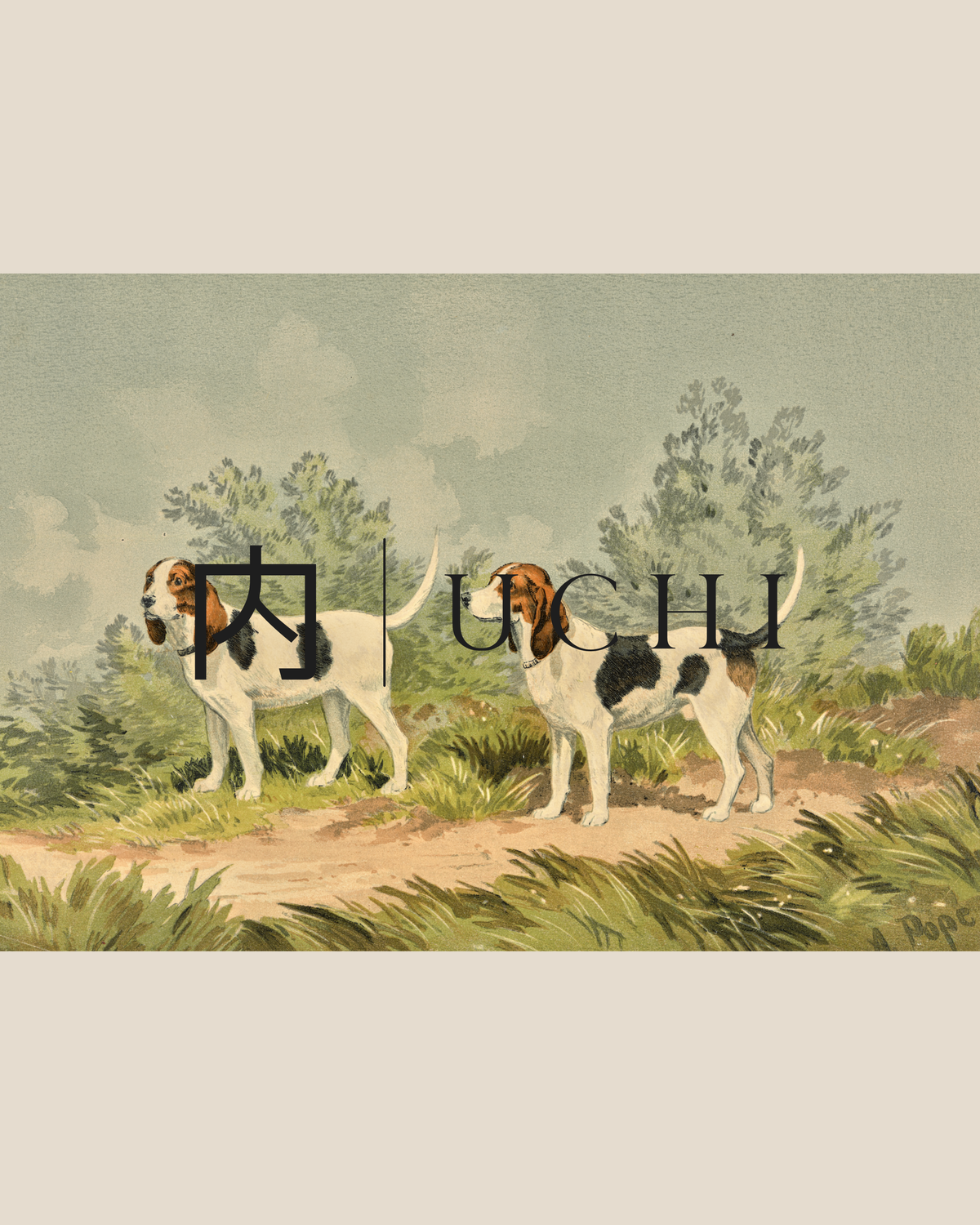 COUNTRYSIDE BEAGLES
