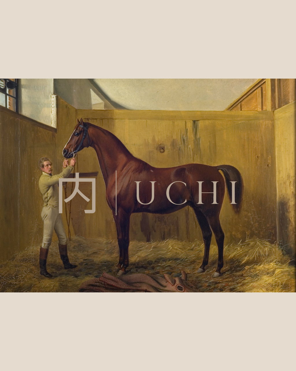EQUINE HERITAGE 1
