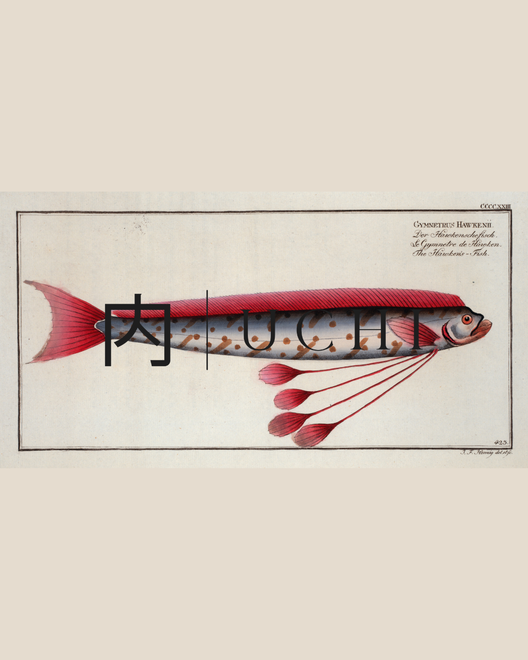 THE HAWKEN'S FISH