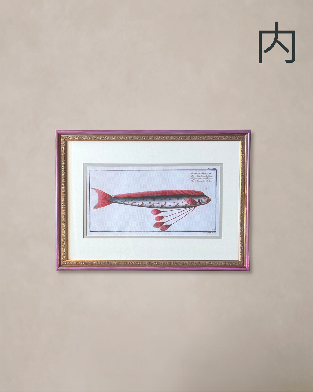THE HAWKEN'S FISH