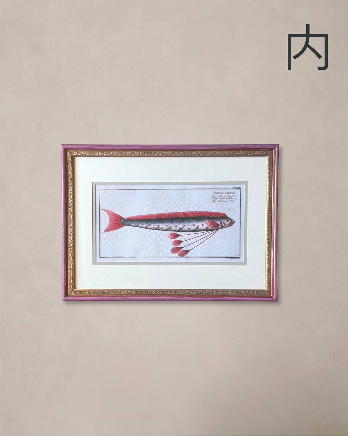 THE HAWKEN'S FISH