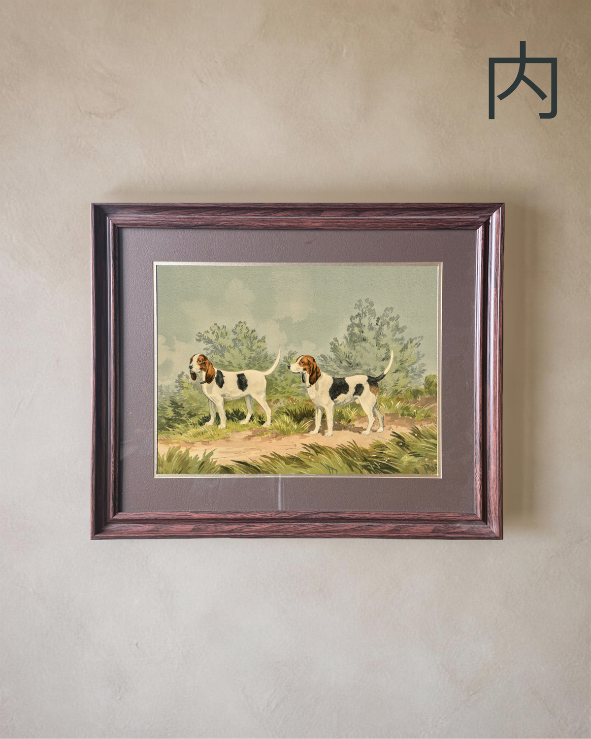 COUNTRYSIDE BEAGLES